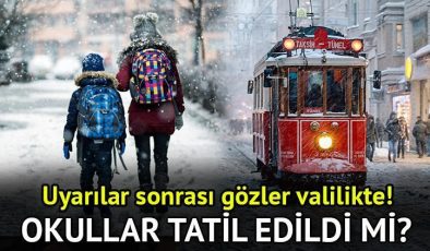 9 Ocak kar tatili kararları | Yarın okullar tatil mi? 9 Ocak 2024 Salı kar tatili var mı, hangi illerde okullar tatil edildi? Gözler valilik açıklamalarında!