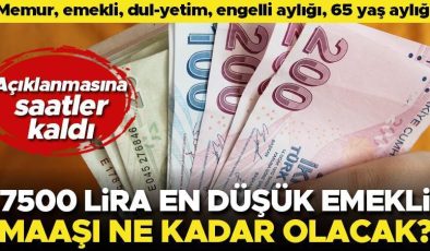 Son dakika… Memur, emekli, dul-yetim, en düşük emekli maaşı… İşte zam olasılıkları