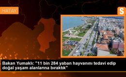 Tarım ve Orman Bakanı: 2023’te 11 bin 284 yaban hayvanı tedavi edilip doğal yaşam alanlarına bırakıldı