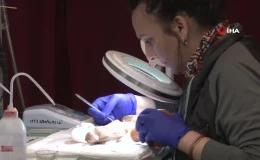 Tenedos Antik Kenti kazılarında çocuk mezarlığı keşfedildi