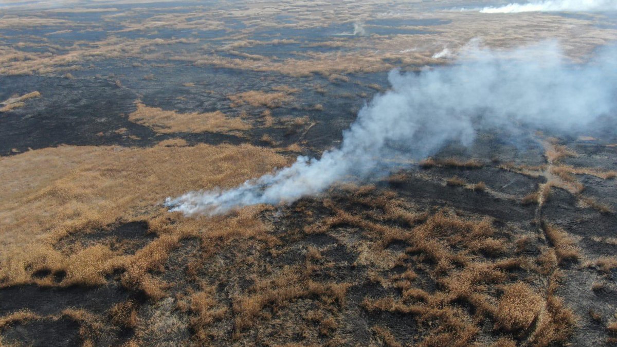 Afyonkarahisar Eber Gölü’ndeki yangın söndürüldü