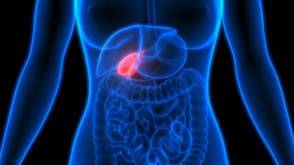 Safra Kesesi Ne Tarafta? Safra Kesesi Nerede Yer Alır, Sağ Mı Sol Mu?